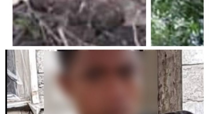 Besok Keluarga Bongkar Kuburan Dasri