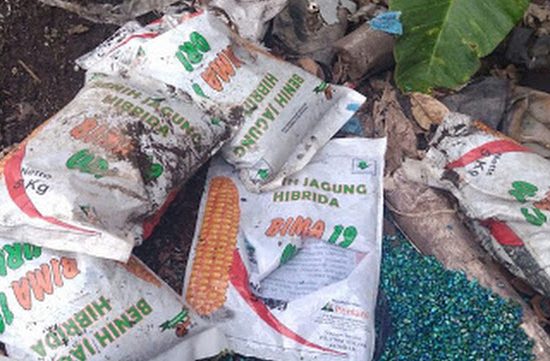 Kasus Bibit Jagung Distan Malut Bakal Dibuka Kembali