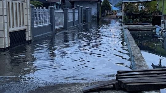 Reklamasi Hutan Mangrove Berujung Banjir Kawasan Mangga Dua