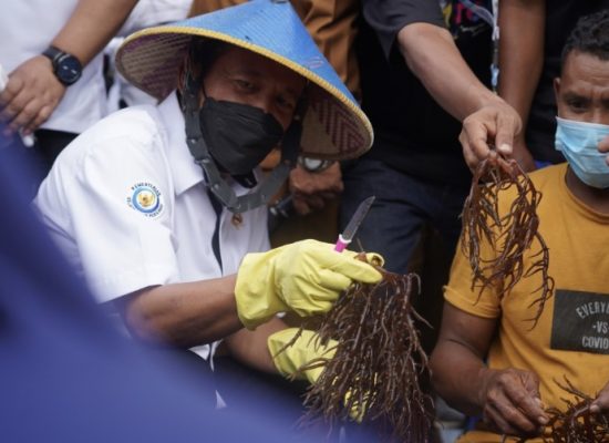 Apa Yang Dilakukan Menteri KP Saat Sejam di Jailolo