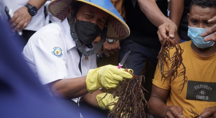 Apa Yang Dilakukan Menteri KP Saat Sejam di Jailolo