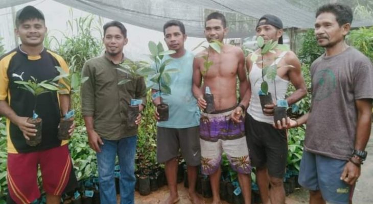 Masyarakat Toniku  Dapat Bibit  Pala Dari Pemdes