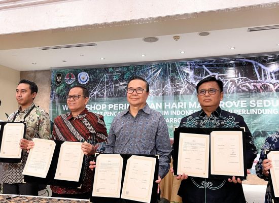 Harita Nickel Tegaskan Komitmen Konservasi dengan Program Rehabilitasi Mangrove