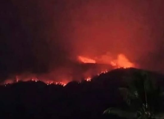 Kebakaran Gunung Gamkonora Disorot, Pemerintah Didesak Segera Ambil Langkah Konkret